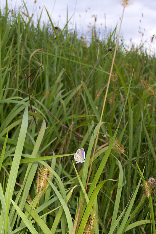 f0090680_23522395.jpg