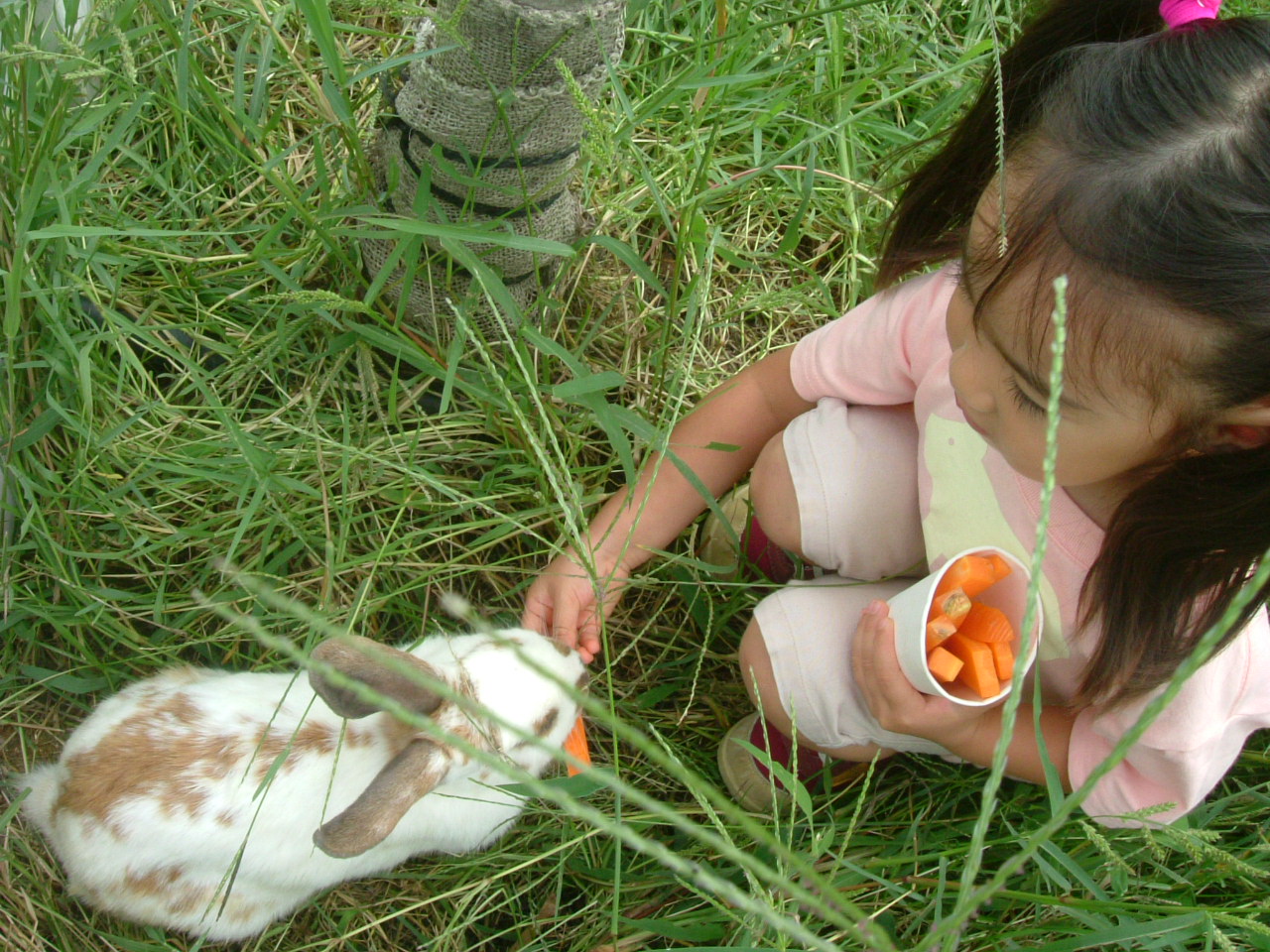 f0191381_1752111.jpg