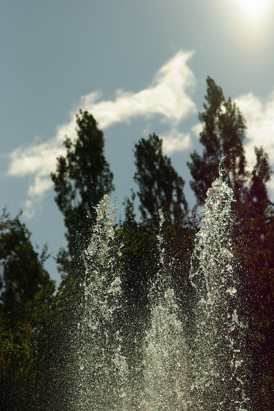 e0051186_65365.jpg