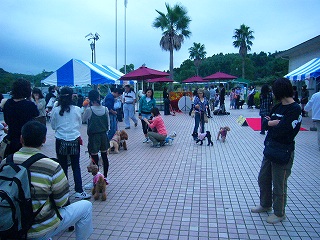 f0168390_21561816.jpg