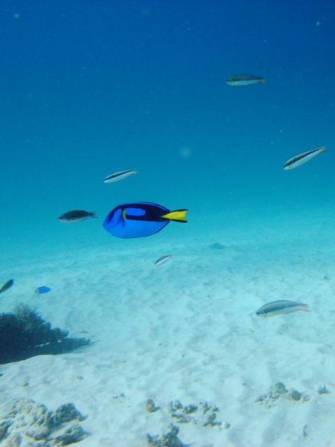 b0104592_13552117.jpg