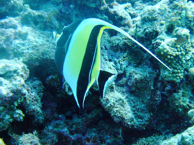 b0104592_1357948.jpg
