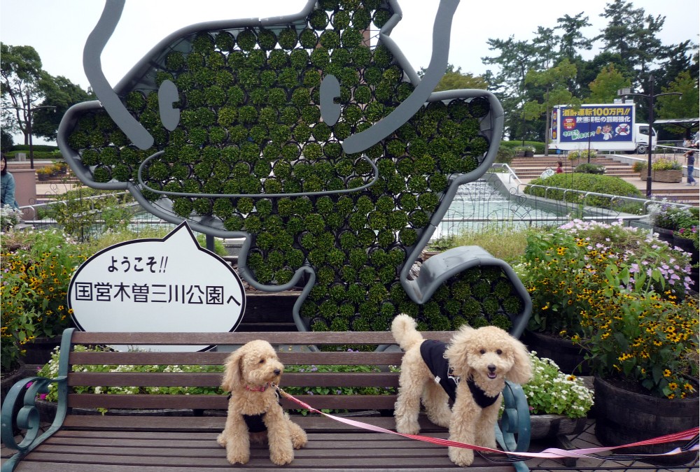 a0107198_11592450.jpg