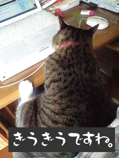 c0035001_1585386.jpg