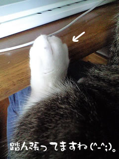 c0035001_1593143.jpg