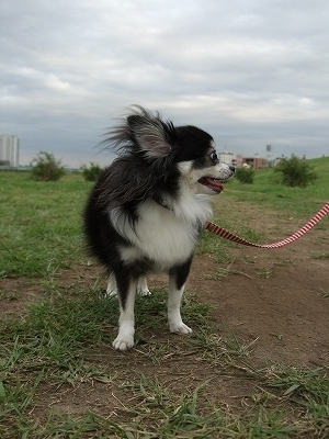 c0162005_07665.jpg