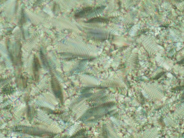 c0164709_21374237.jpg