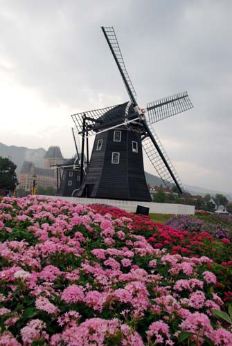 c0059521_2091820.jpg