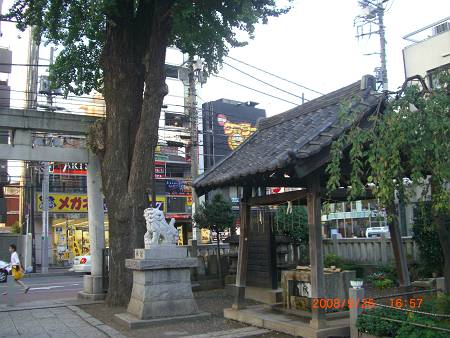 d0065324_193910.jpg