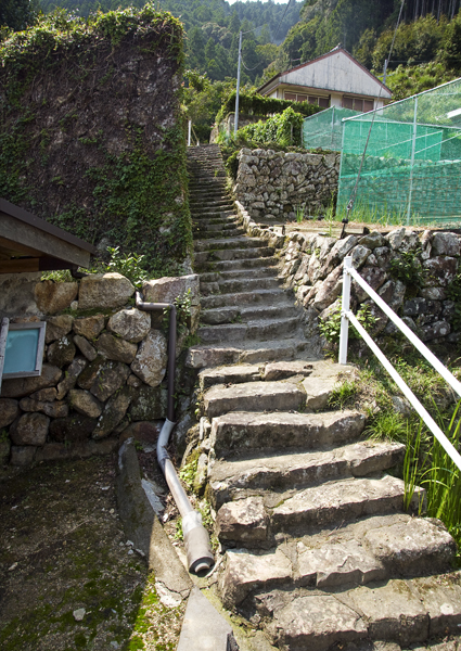 d0147530_6254781.jpg