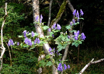 d0075131_23244919.jpg