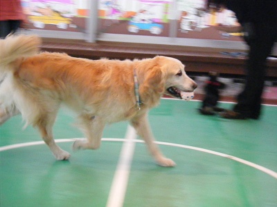 c0097558_1454586.jpg
