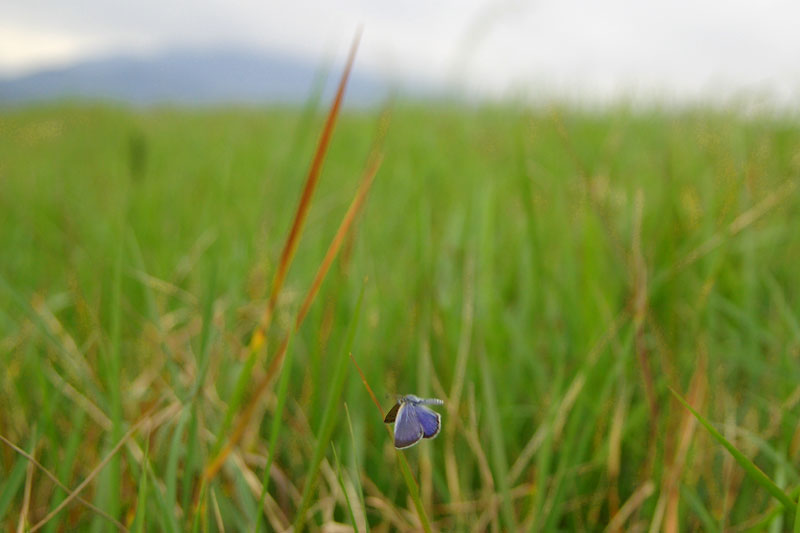 c0043361_1922510.jpg