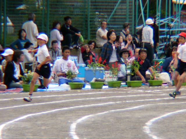 b0024266_8532751.jpg