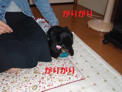 c0151866_2201110.jpg