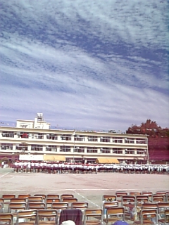 b0069471_1381081.jpg