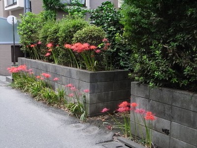 c0112172_223937.jpg