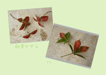 c0167576_2024473.gif