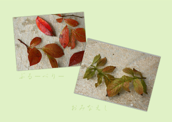 c0167576_20251045.gif