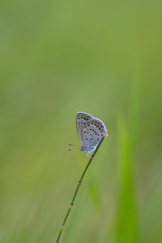 f0090680_2351365.jpg