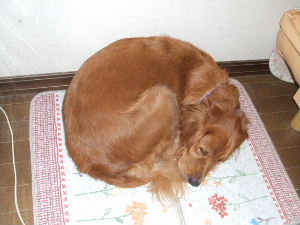 f0005081_11395136.jpg