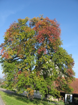 e0012482_13202383.jpg