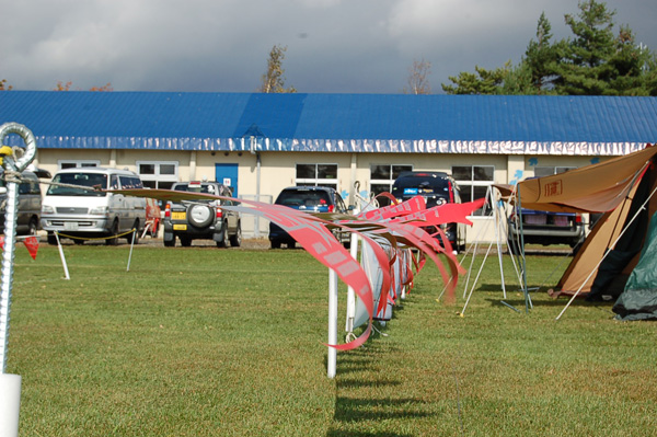 d0101385_901649.jpg