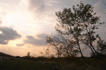 c0130986_1430516.jpg