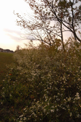 c0130986_14384453.jpg