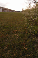 c0130986_14461456.jpg