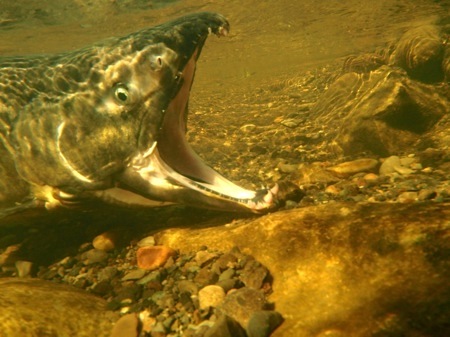 f0159390_10345263.jpg
