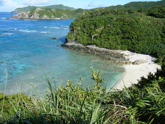 b0104592_15264892.jpg