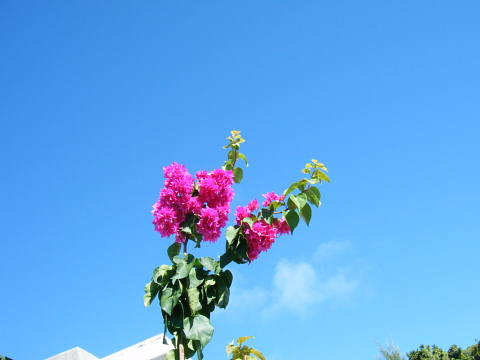 b0104592_1528539.jpg