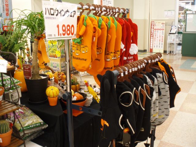f0130894_21374560.jpg