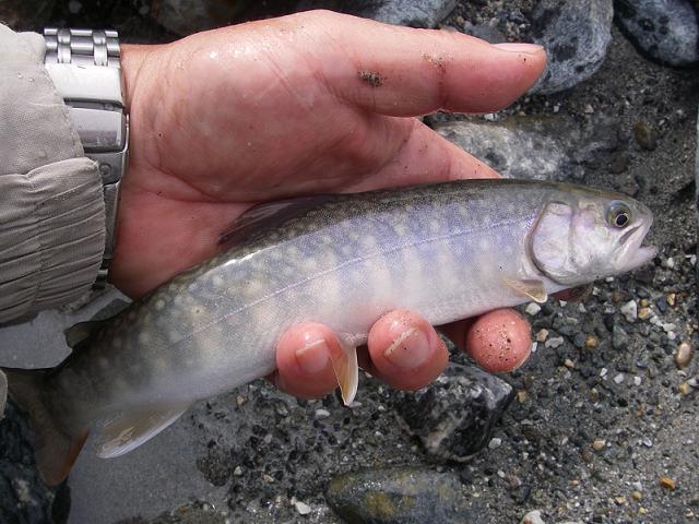 e0144195_18384324.jpg