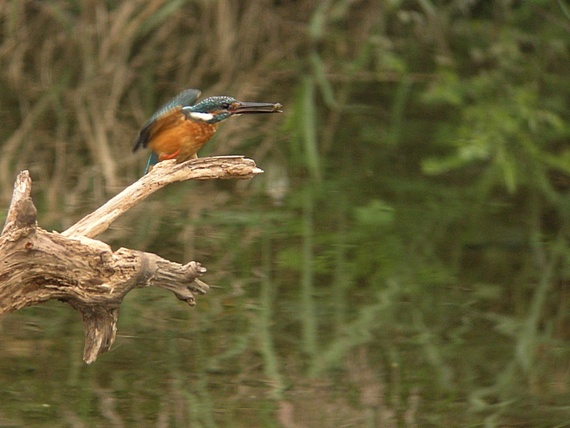 f0168596_19312263.jpg
