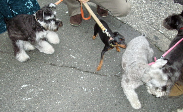 c0138198_20362622.jpg