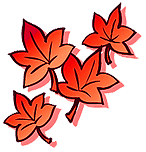 紅葉したモミジ