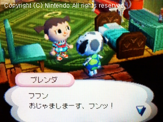 ブレンダ