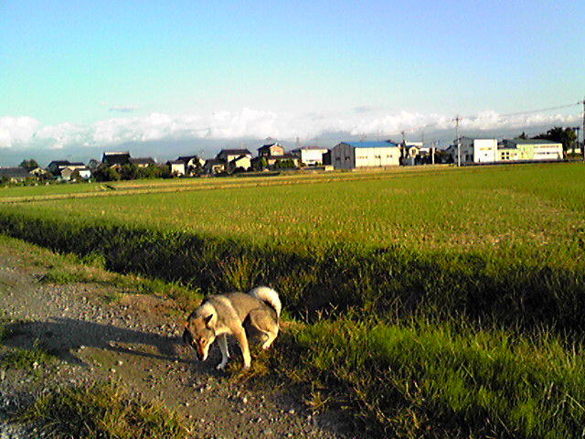 f0079202_16523070.jpg