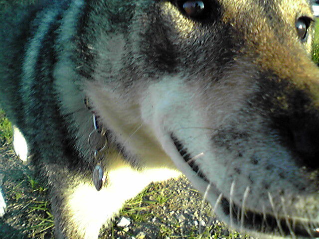 f0079202_1652308.jpg