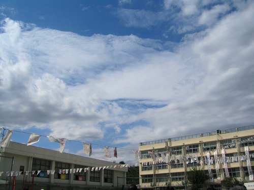 a0103110_1453567.jpg