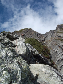 d0100314_1862480.jpg