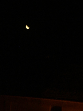 f0133814_6383919.jpg