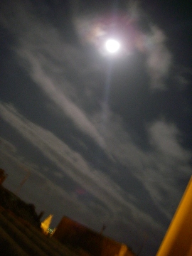 f0133814_6421795.jpg