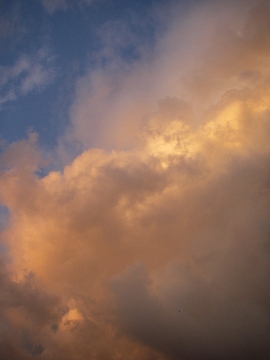 f0133814_6504998.jpg