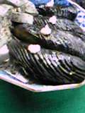 d0035823_1621394.jpg
