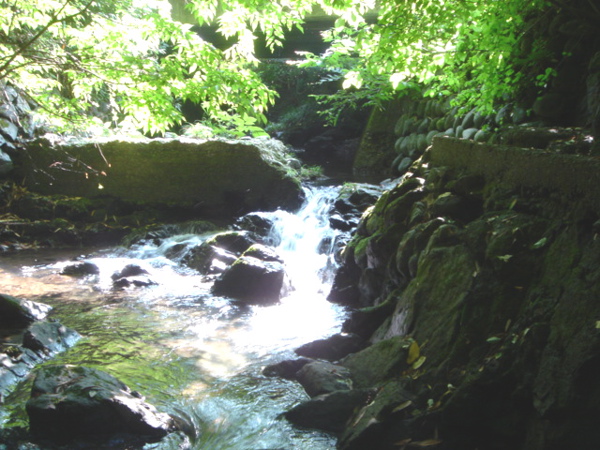 b0131724_20503284.jpg