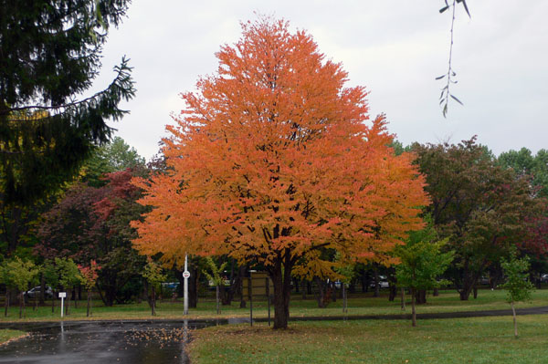 a0046429_19212264.jpg