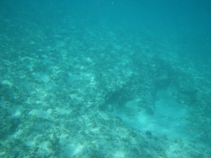 b0156430_1424589.jpg